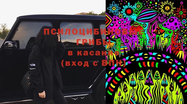 PSILOCYBIN Майский
