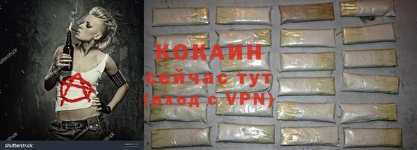 PSILOCYBIN Майский