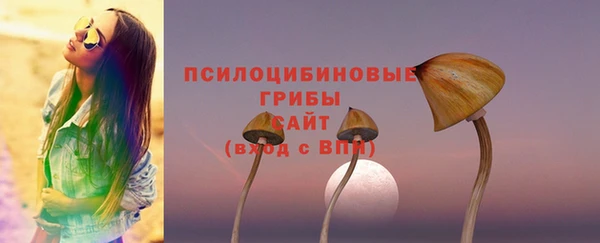 сатива Магадан