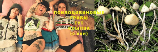 MESCALINE Магас