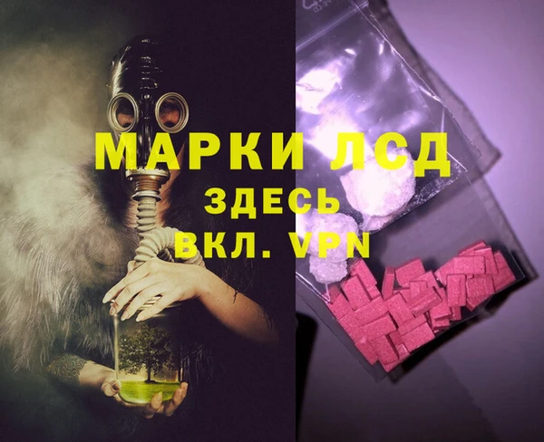 PSILOCYBIN Майский