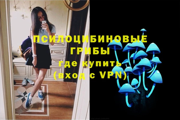 сатива Магадан