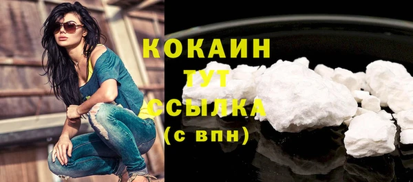 сатива Магадан