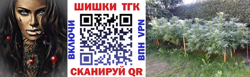 Бошки Шишки ГИДРОПОН Новомичуринск